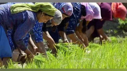 PM Narendra Modi released 17th installment of PM Kisan Scheme on Tuesday