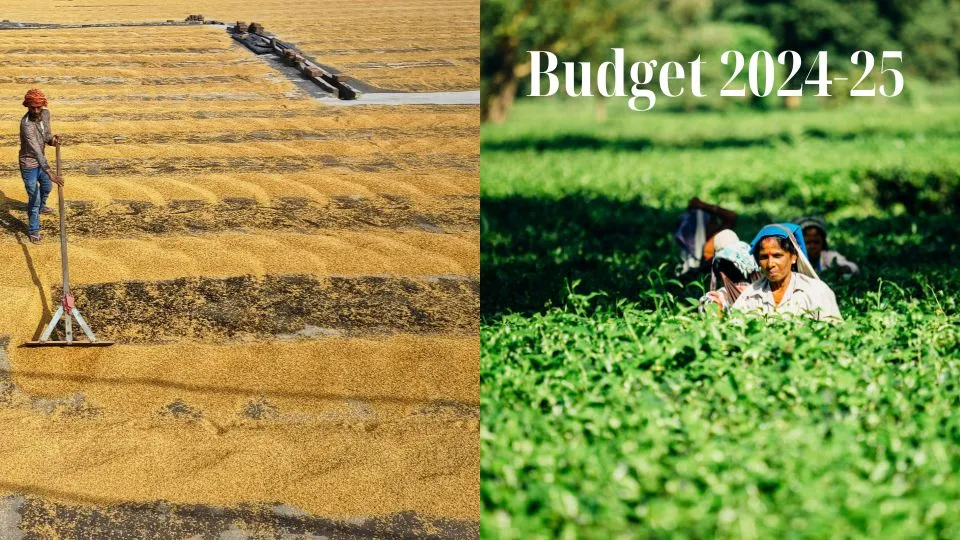 Union Budget 2024: An INR 1.52 Lakh Crore Boost for Agriculture and Sustainable Farming Practices